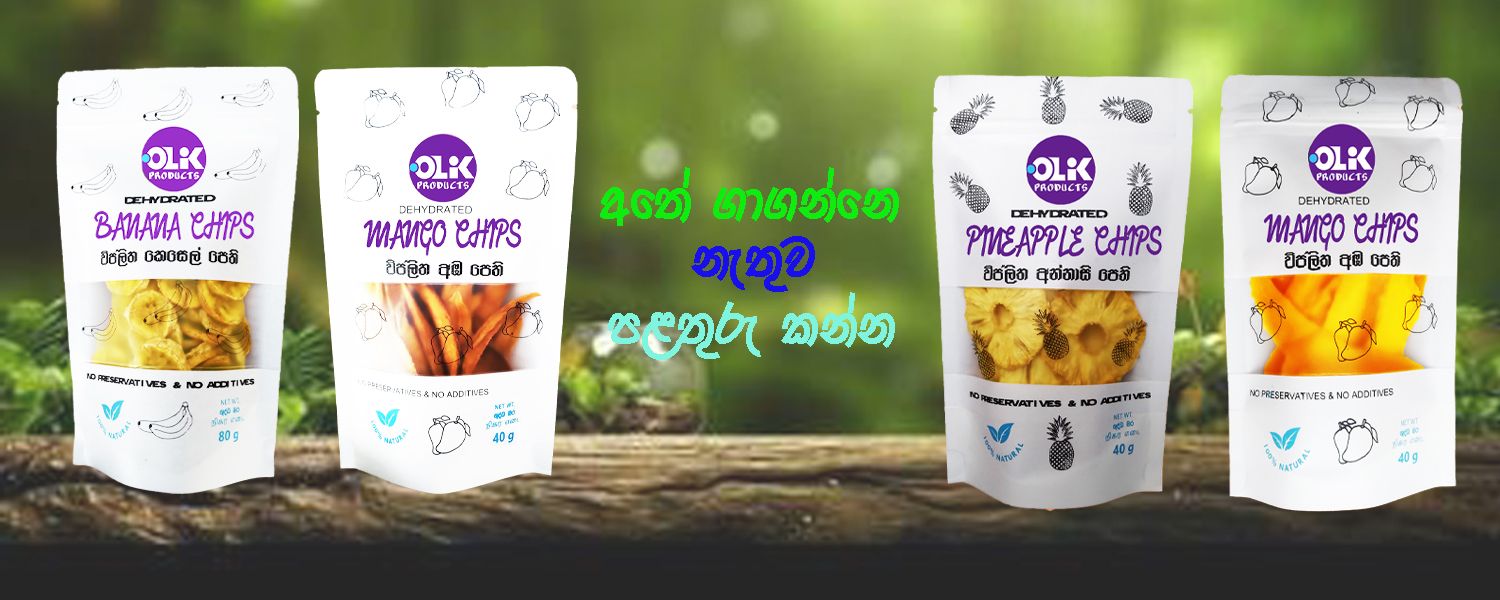 Ceylon Plaza offer