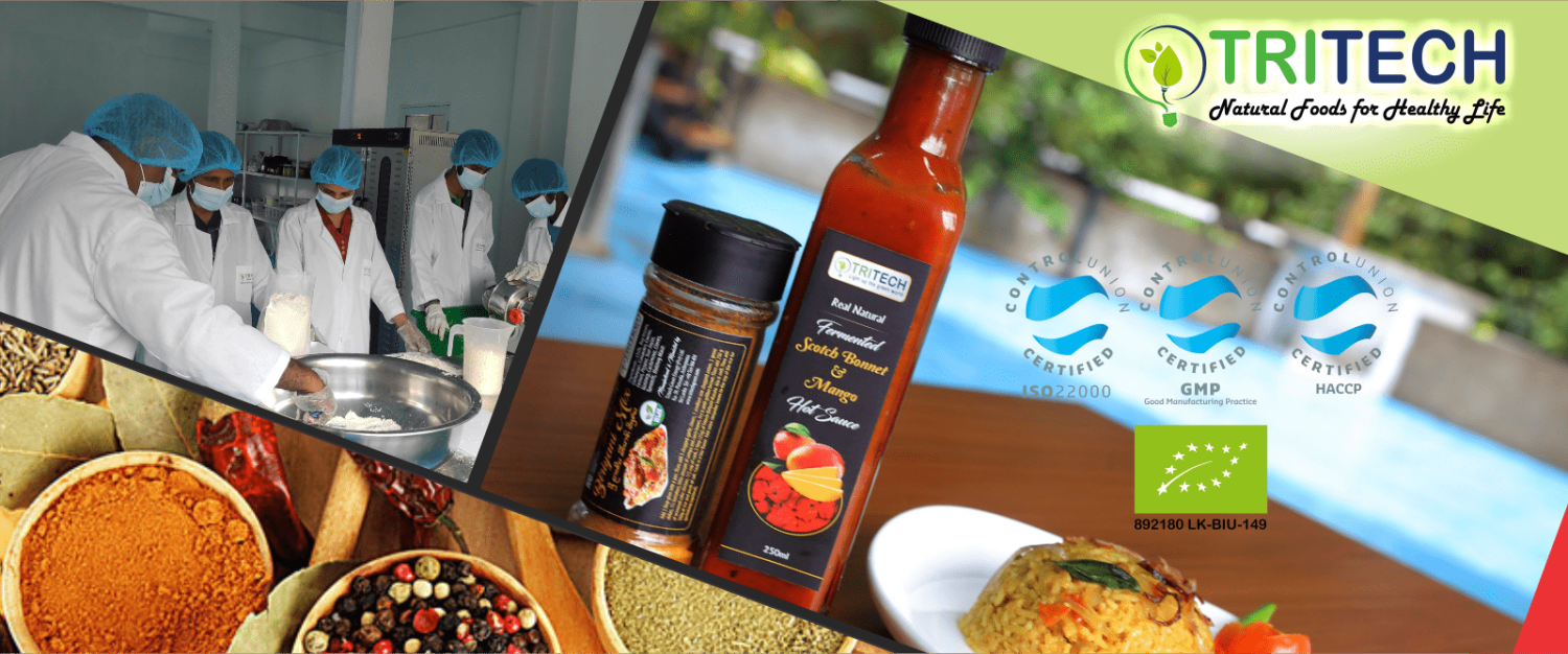 Ceylon Plaza offer